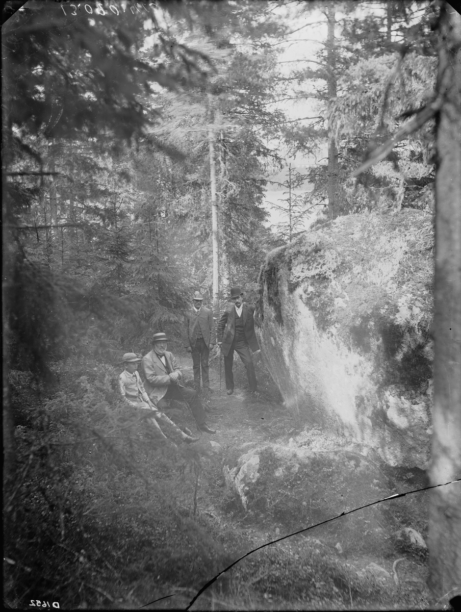 Tre män och en pojke poserar mitt ute i skogen. Möjligen Carl Curman och Sigurd Curman.