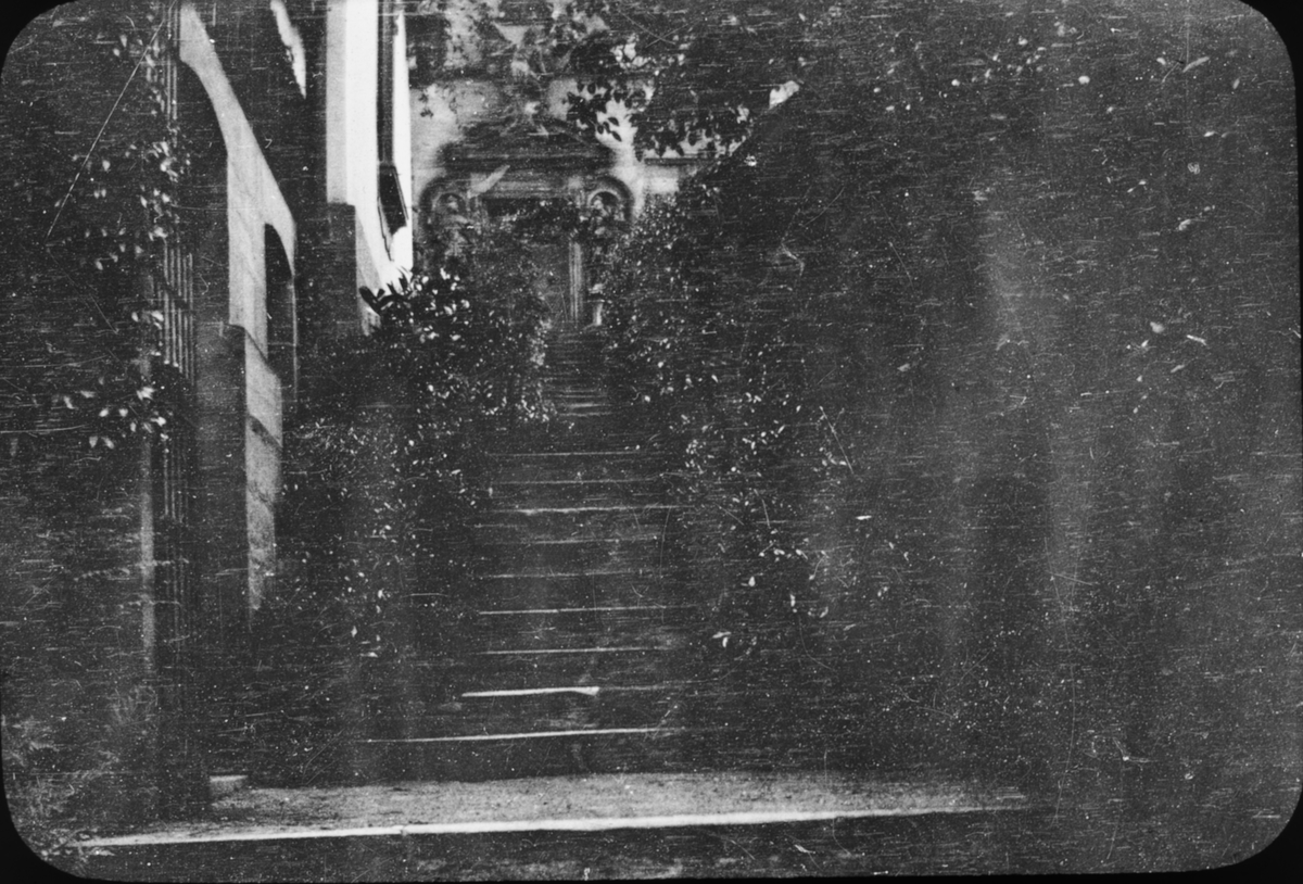 Skioptikonbild med motiv växtbeklädd trappa i Bamberg.
Bilden har förvarats i kartong märkt: Resan 1907. Bamberg. 20