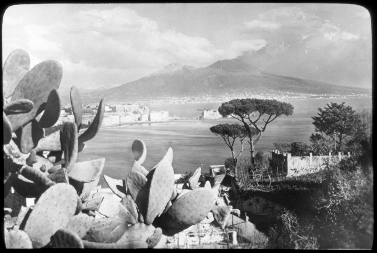 Skioptikonbild från institutionen för fotografi vid Kungliga Tekniska Högskolan. Motiv föreställande utsikt över hav med kaktus i förgrunden och berg i bakgrunden, sannolikt i södra Italien. Bilden är troligen tagen av John Hertzberg under en resa i Europa..
