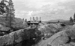 Utløpet for Hornsjøen, Fløtningsdam