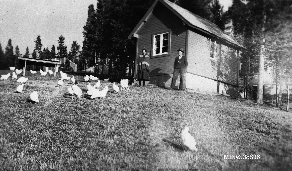 Olianne og Håkon Thompson med hønsene.