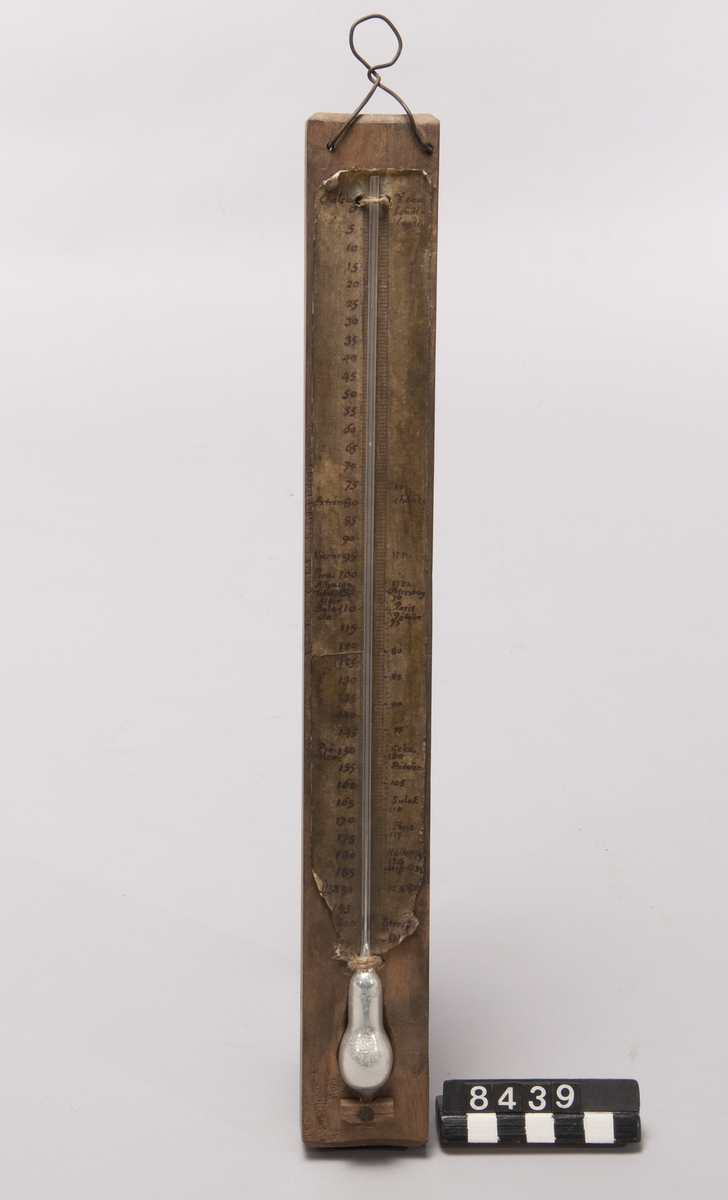 Replik av den första termometern med 100-gradig skala. "Svensk termometern".