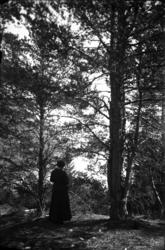 Fotsamling etter Hans Tveito. "Hagen i Lårdal prestegård". P