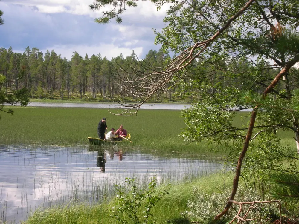 Personer i båt som slår siv