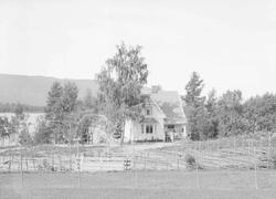 Nabo til Grimsrud gård ved Ransfjorden.