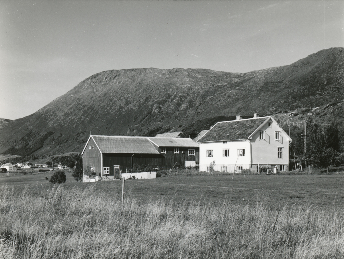 Prospektfotografi fra sør-østsiden av Godøy. Her er ett av bruka, Nedste- Joans, i Gøygarden, den gården som hadde det største fellestunet i Borgund og Giske.