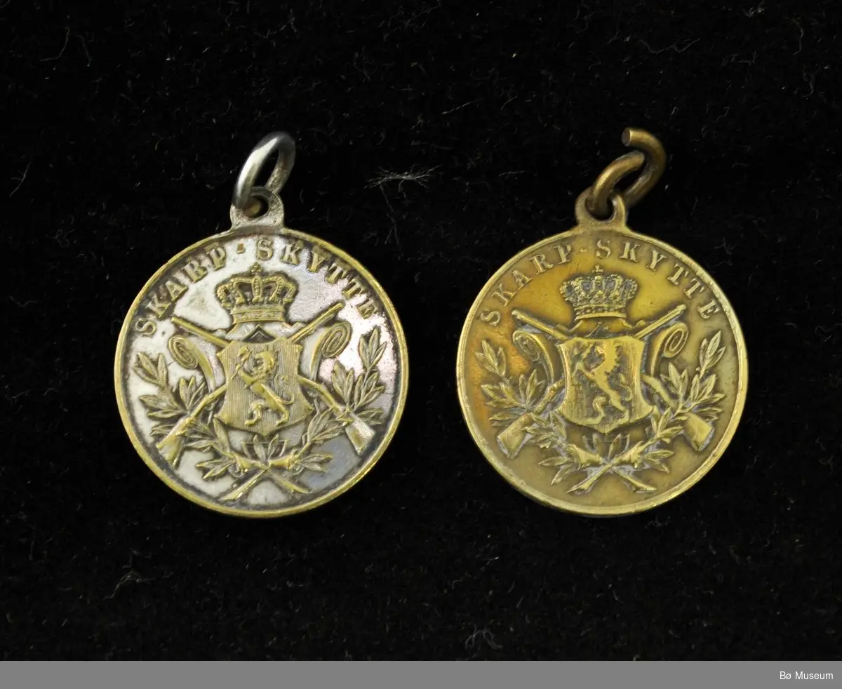 Sirkelformet medalje med løve, krone, korslagte gevær og grener på den ene siden, på den andre siden enkel kantbord. Samt 5 medaljenåler.