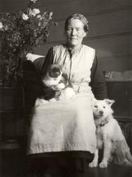 Kvinne med katt og hund