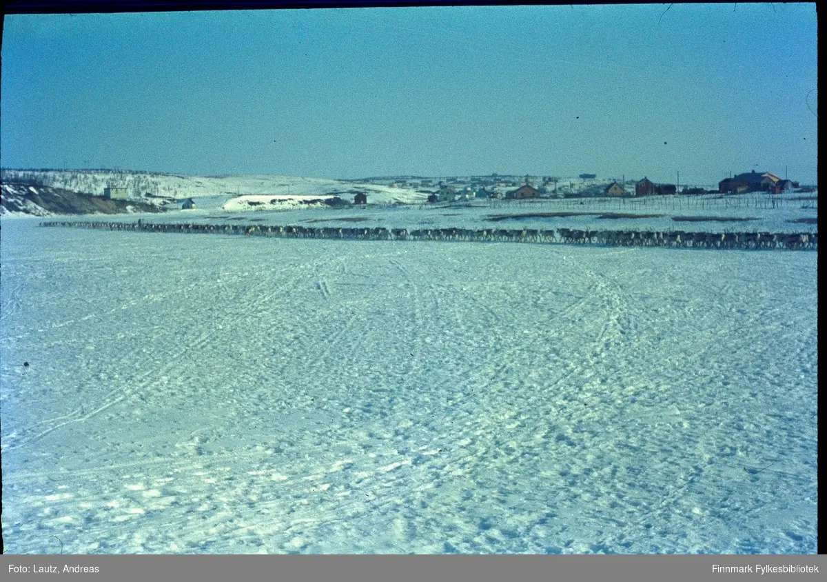Kautokeino i 1969. Vårflytting på elva.