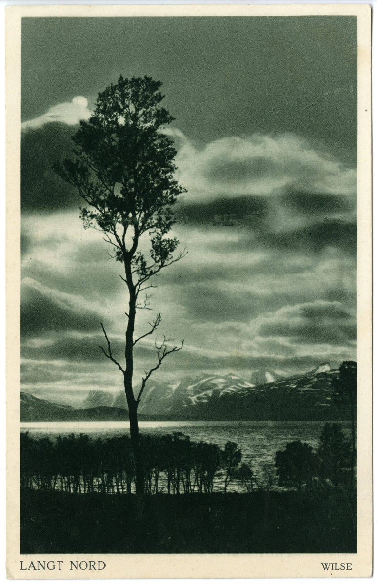 Postkort. Landskap i skumring med fjord, fjell og trær.