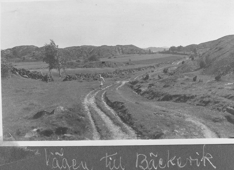 Vägen mellan Both och Bäckevik på Lyrön