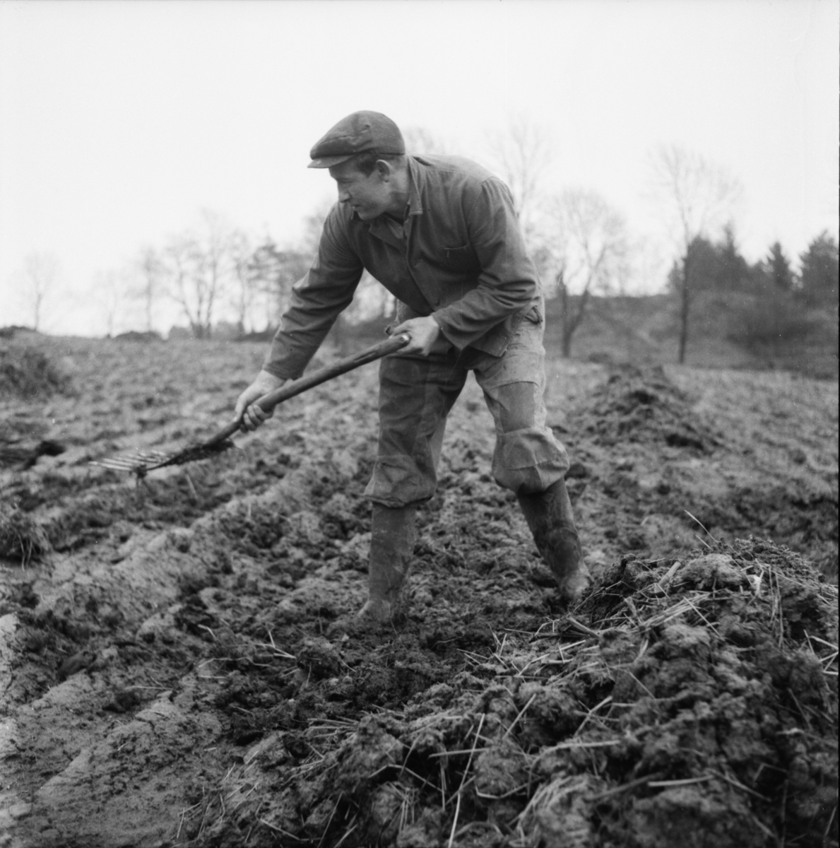Vardens arkiv. "Vår-reportasje"  06.05.1954