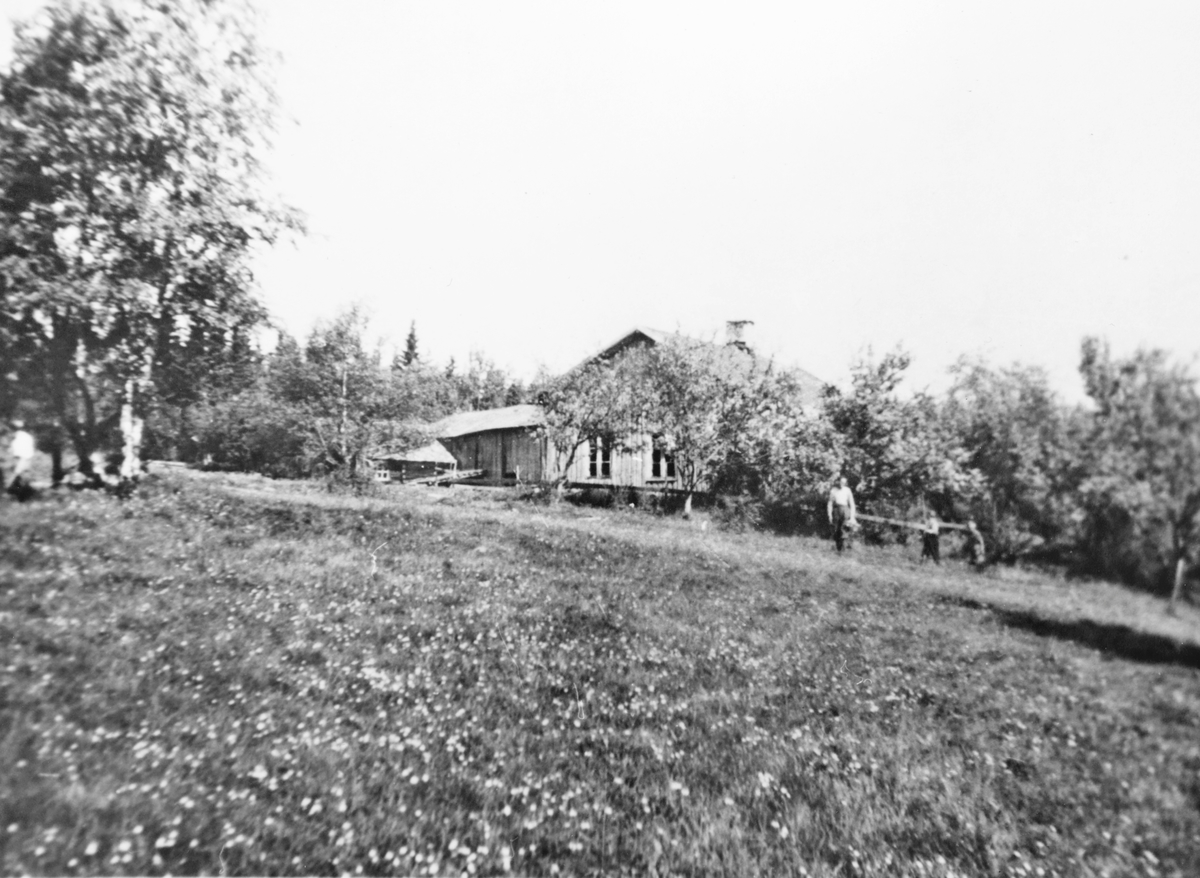 Langlia på Setskog, ca. 1920