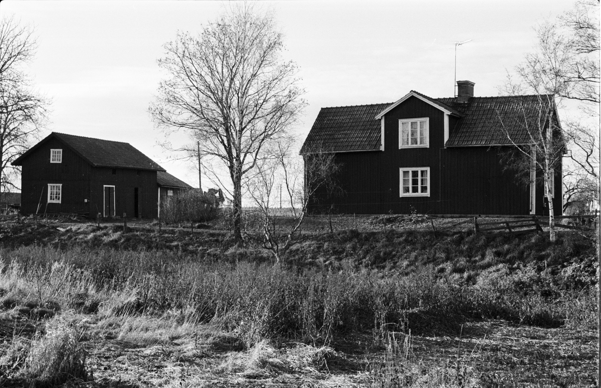 Lider, magasin och bostadshus, Tensta-Forsa 2:1, Tensta socken, Uppland 1978