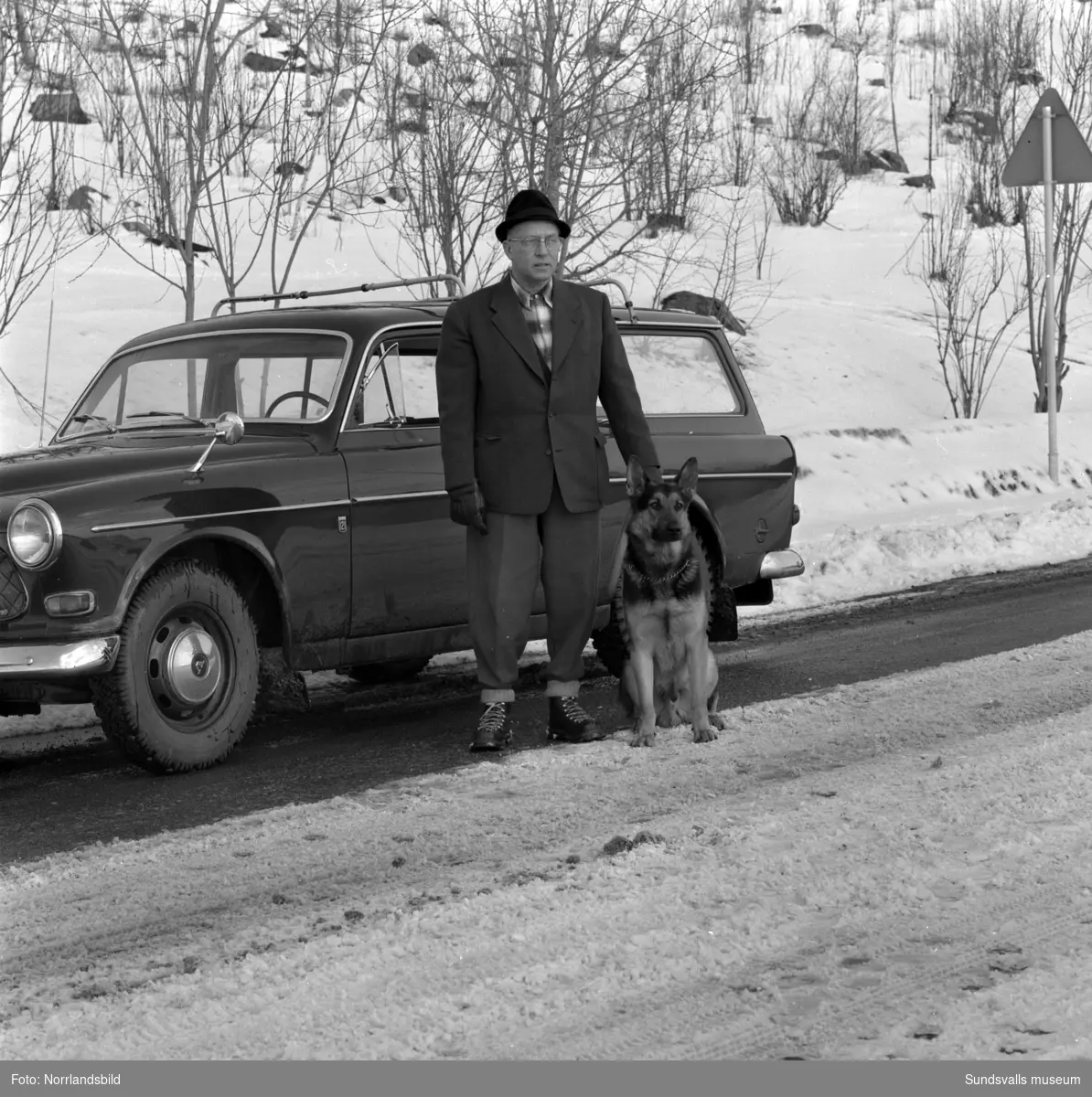 Svenska Philips representanter i Norrland. Två män med sina volvobilar fotograferade i stadsbacken, en av dem har en schäferhund.