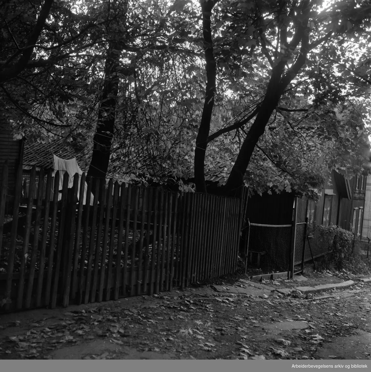 Langleiken 3, juni 1959. (Gaten ble borte ved saneringen av Enerhaugen i 1960-årene.)