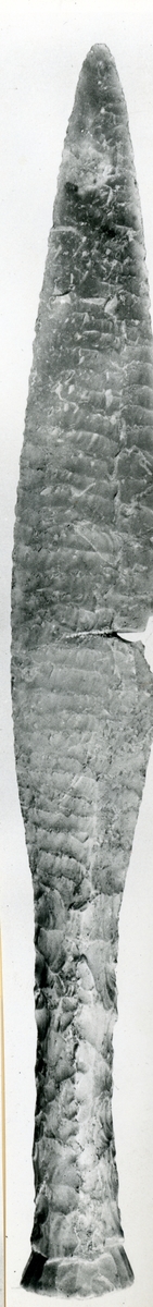 Eldsberga sn. Tönnersa 2. T 03460:1-19 är ett samlat fynd av flintredskap, som påträffats i myllan i en granskog.