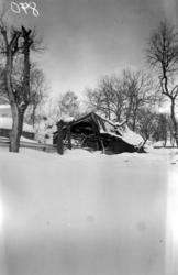 På bildet ser vi ruinene av fjøset på Johnsengården i Vågen.