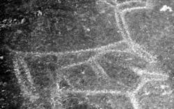 Hellerisninger på Boggestranda i Eidsvåg, Nesset kommune, hv