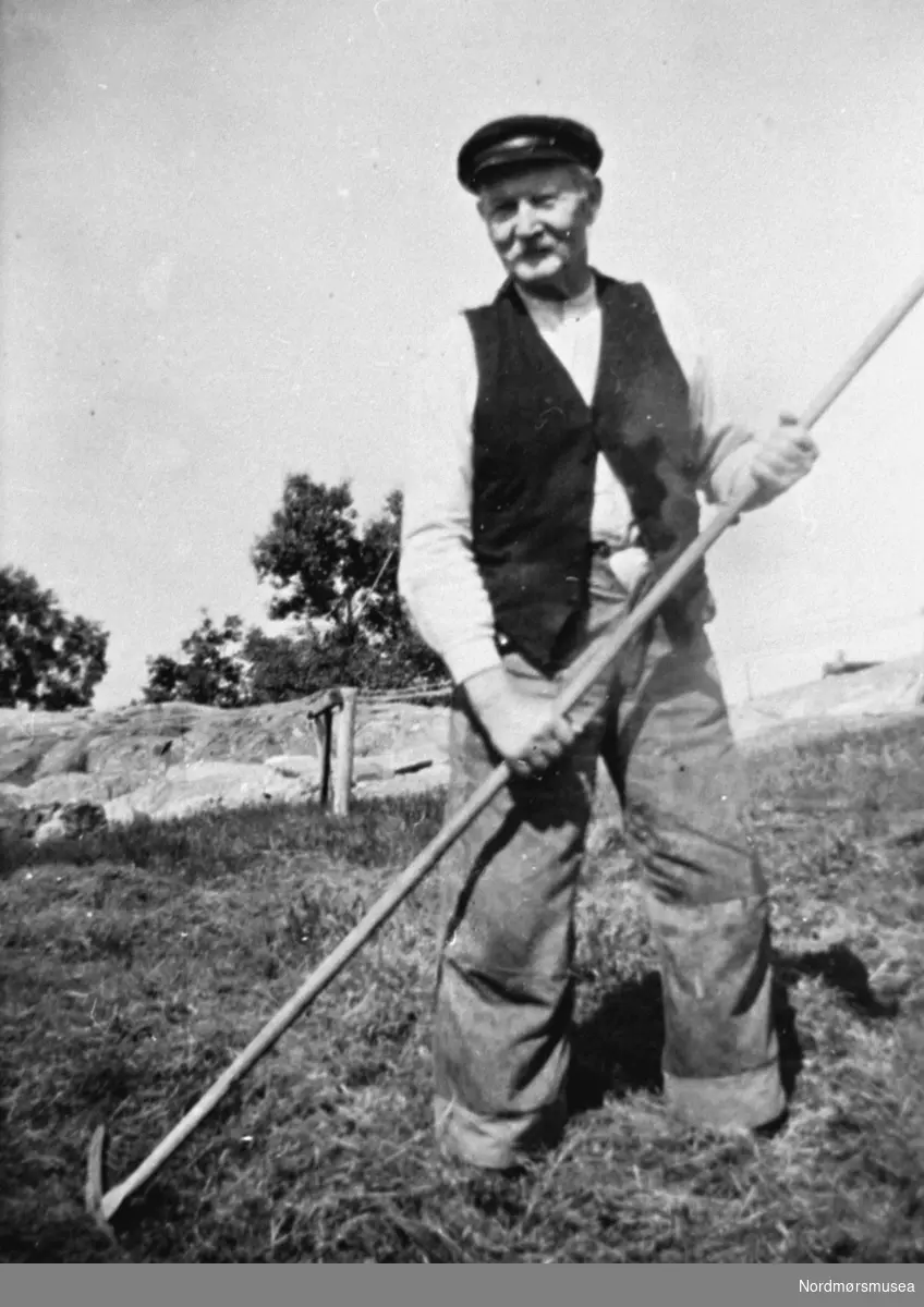 Karl Flatøy holder på med høyonna.

Bilde fra fotoinnsamlinga i Frei kommune 1978-79. Innsamla av Freielever på Nordlandet ungdomsskole og registrert av Ellen Brattøy. Fra Nordmøre Museum sin fotosamling.