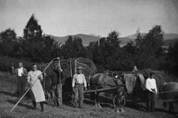 Høyonn i Nordigarden på Bjerkestrand med rakartaus, ståttaka