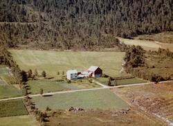 Flyfoto fra gården Heimli (Heimly?) nær Vågbø i Tingvoll kom