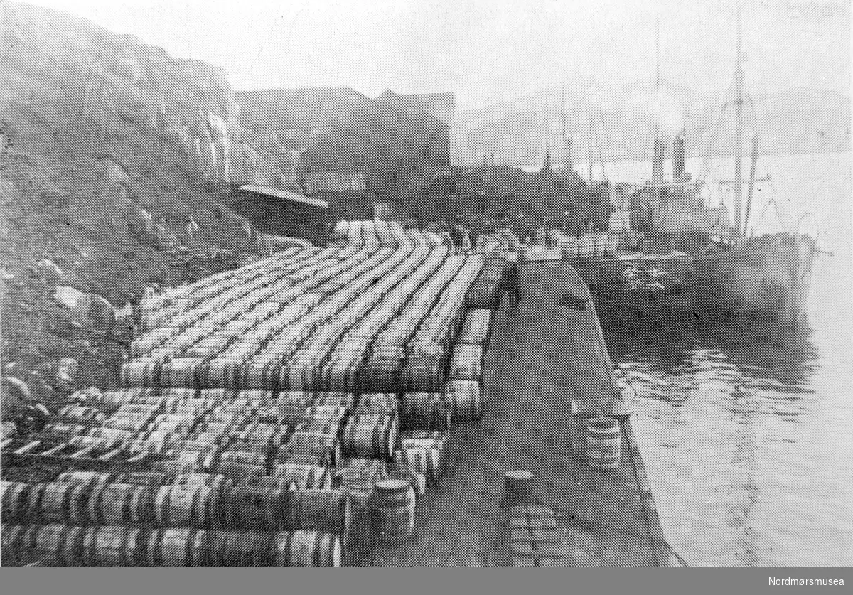 Kr. Hjelkrems sildekai og kullager, samt firmaets fiskebåter Skrøyfa og Bøfjord. Datering er usikkert, men trolig omkring 1928. Fra Nordmøre museums fotosamlinger. EFR2015