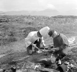 Fra en reportasje i Aftenposten om fiske mm. fra Vågen. Se b
