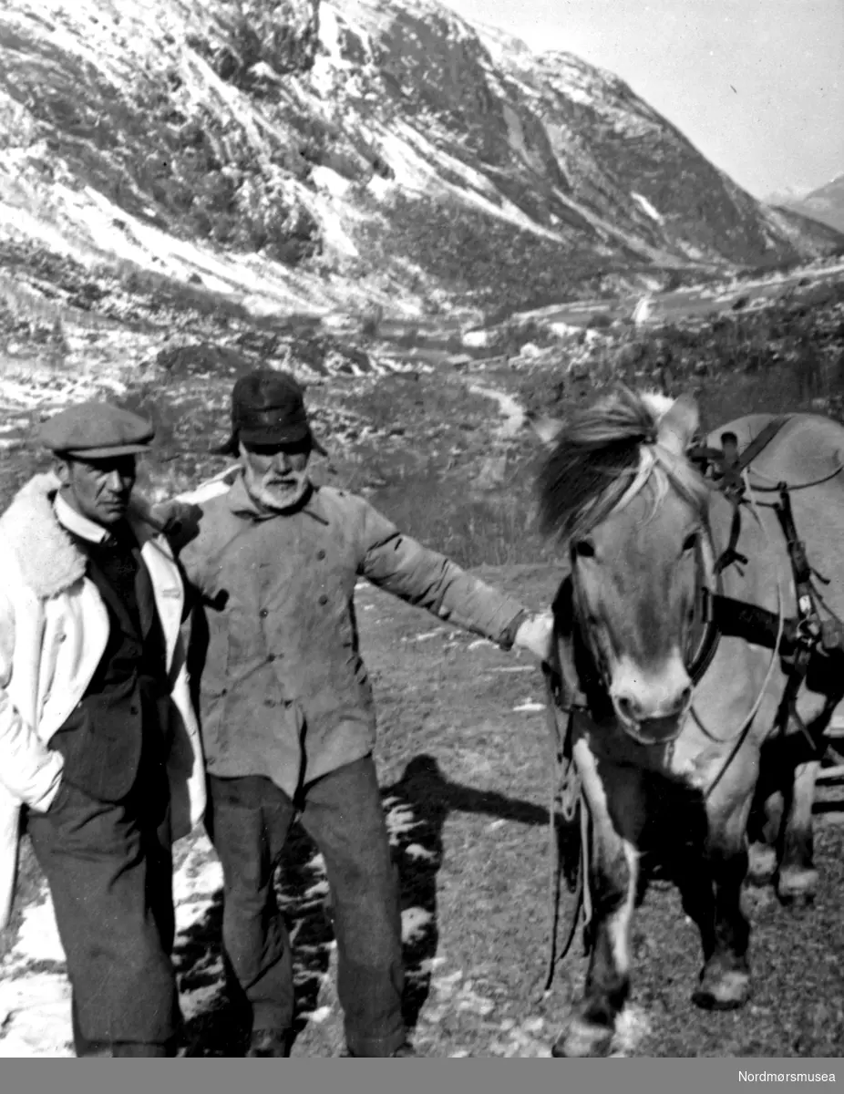 Ingeniør, bonde og Fjording; hest. Vasskraftutbygging, Aura 1941. vinter, snø. Fra Nordmøre Museum sin fotosamling.