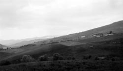 Postkort: ";Rindalskogen."; På bildet ser vi ei bygd liggend