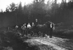 Hester og vogn. Fra Nordmøre museums fotosamlinger. EFR2015