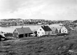 Postkort fra Innlandet i Kristiansund, hvor vi ser flere bol