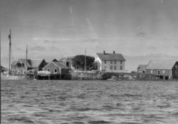 Serie. Foto trolig fra øysamfunnet og fiskeværet Håholmen i 