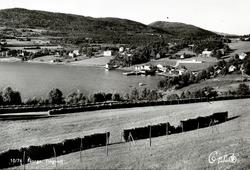 Postkort ";10/76"; med motiv fra Tingvoll kommune, hvor vi s