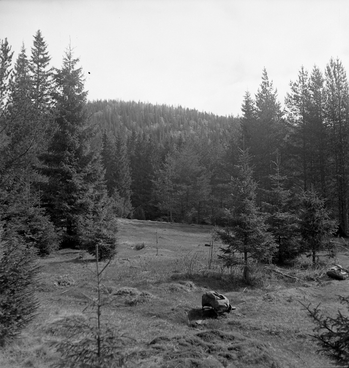 Nygårdsvollen ved Hommelvik