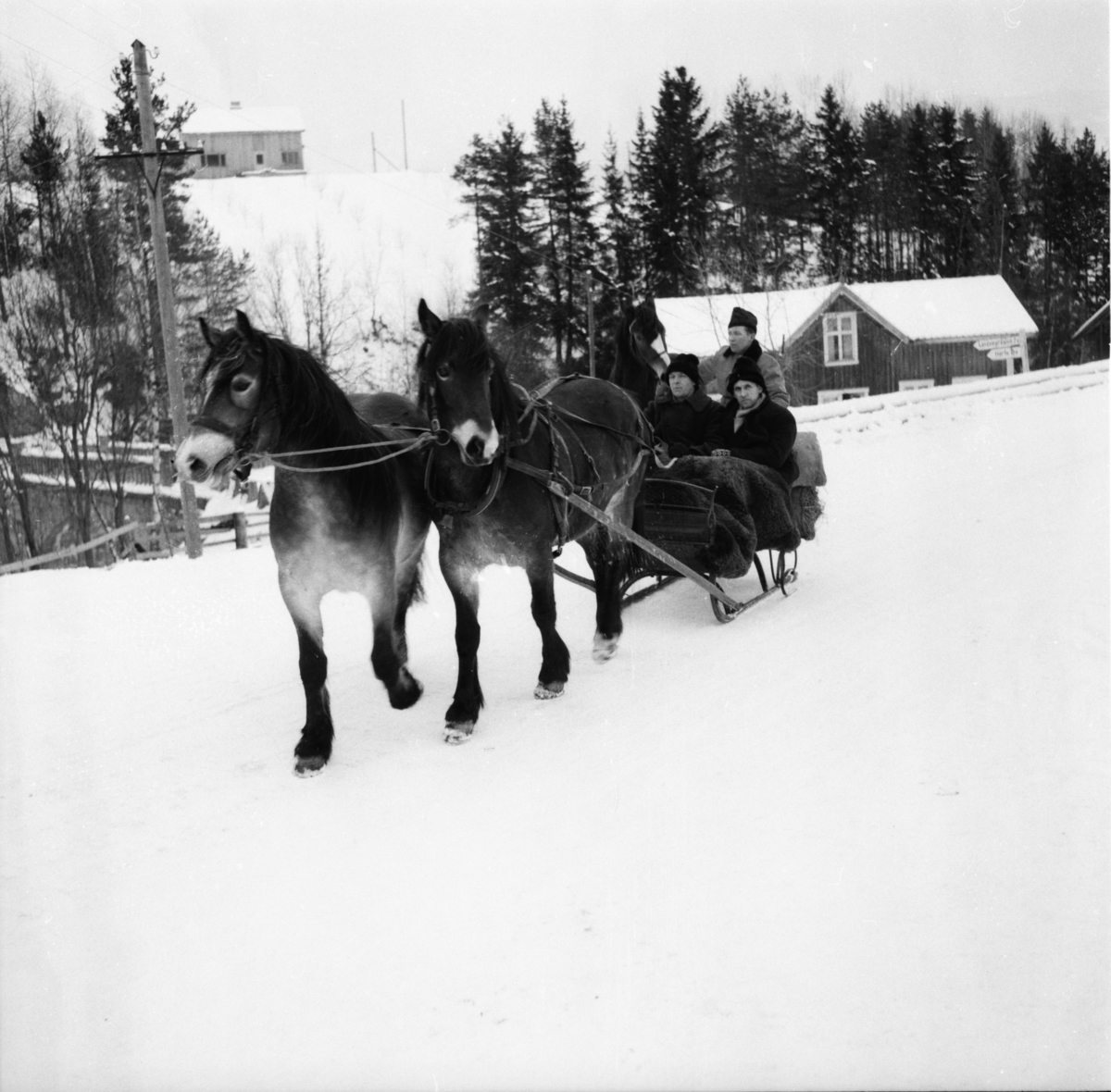 Vardens arkiv. "På vei til fesjået i Bø"  21.01.1954