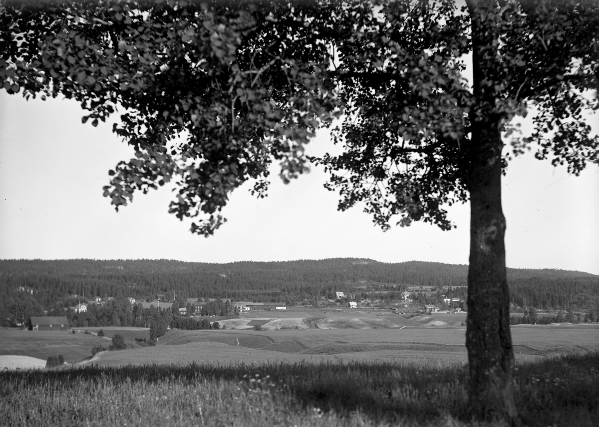 Värmlandsvy: Troligen i trakten kring Västra Ämtervik.