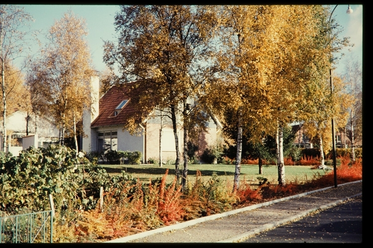 Villa med trädgård på Väster i Växjö, sent 1950-tal.