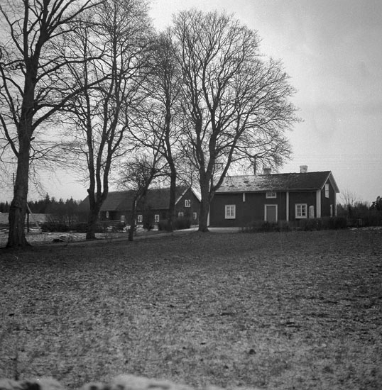 Vederslöv, Nöbbele. Snugge. 1946