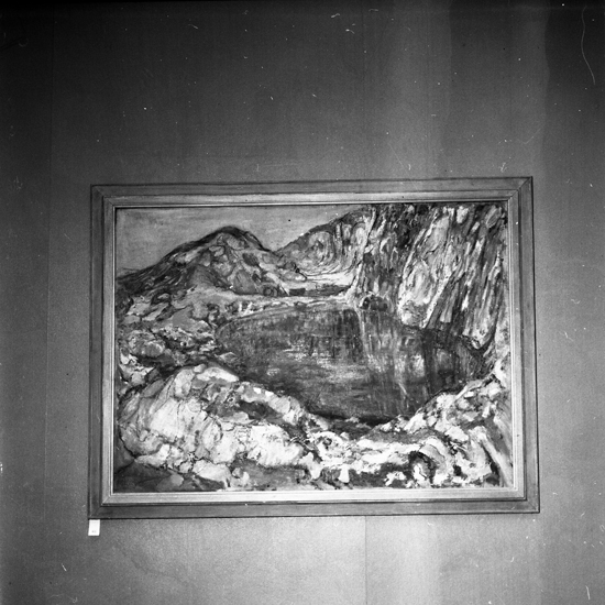 SM utställning Sara-Lisa Ryd. 1955. - Kulturparken Småland / Smålands ...