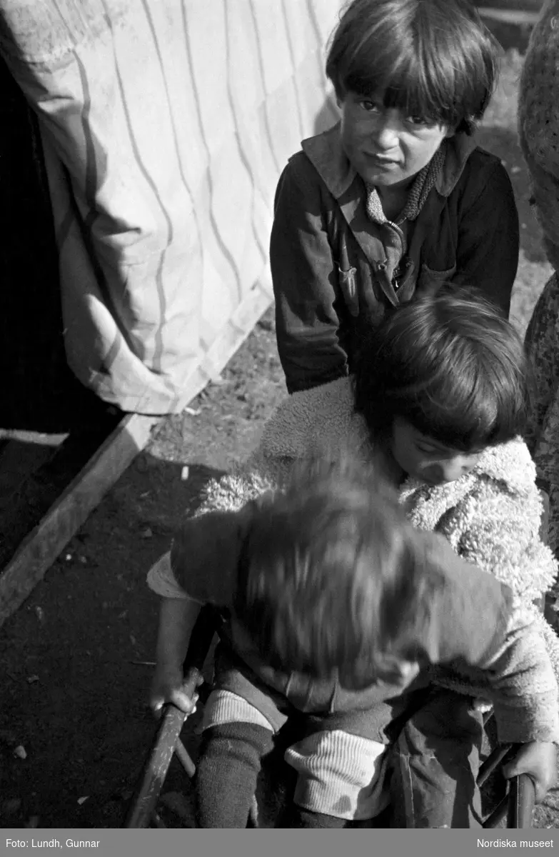Tre barn leker med en skrinda. Två flickor sitter i vagnen medan en pojke står bakom och skjuter på. Familjen Taikons läger i Johanneshov, södra Stockholm.