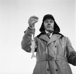 Vardens arkiv. "Pilking på Møsvann" 07.01.1954