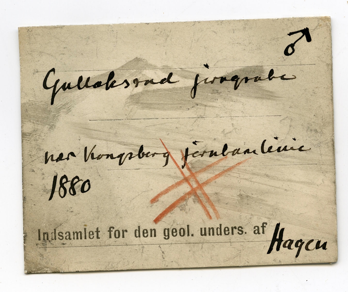 To prøver, begge med etikett: No 50

Etikett i eske:
Gullaksrud jerngrube nær Kongsberg jernbanelinie.
1880
Indsamlet for den geol. unders. af Hagen