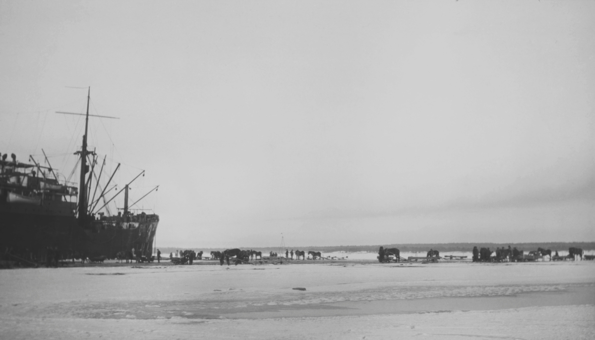 Tyskt transportfartyg i is vid Åland 1918. Hästforor forslar materiel över isen.