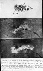 Le groupe de taches solaires de juillet 1946.