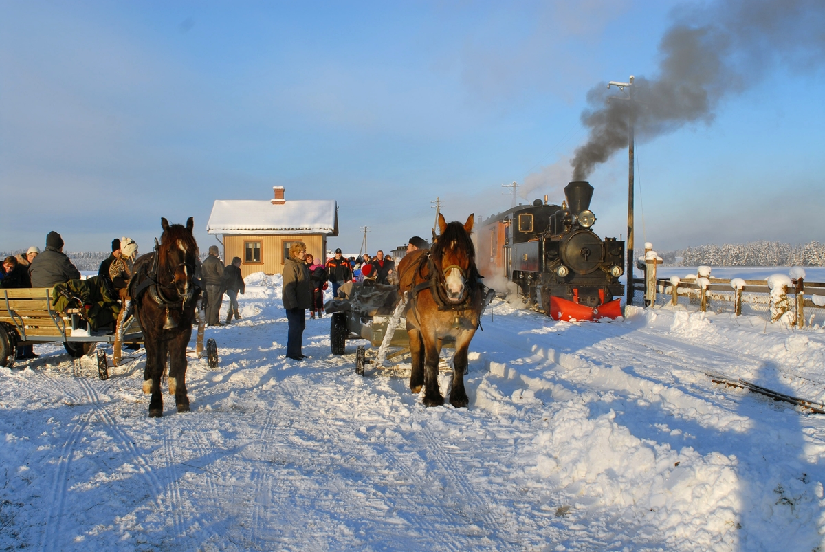 Julekjøring på museumsjernbanen Urskog-Hølandsbanen, Tertitten. Toget, trukket av damplokomotiv nr. 7 Prydz fra 1950, har kommet til Fossum stasjon og de reisende kan fortsette med hest og slede.