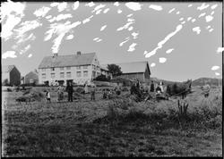 Onnearbeid hos Størk Hansen på Mebostad.