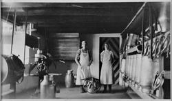 Melkerommet i fjøset på Storfosen Gods