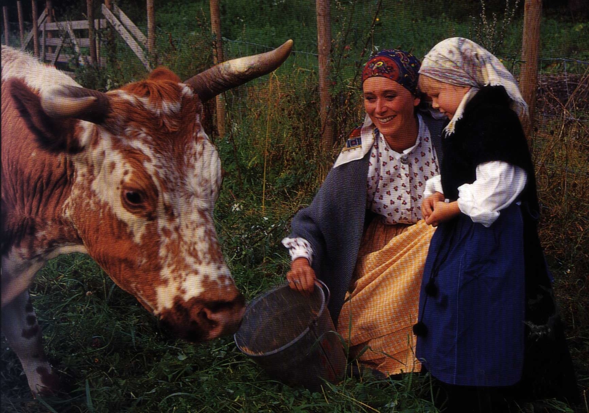 Postkort Mor Og Datter I Bunad Fôrer Kua Nf Norsk Folkemuseum