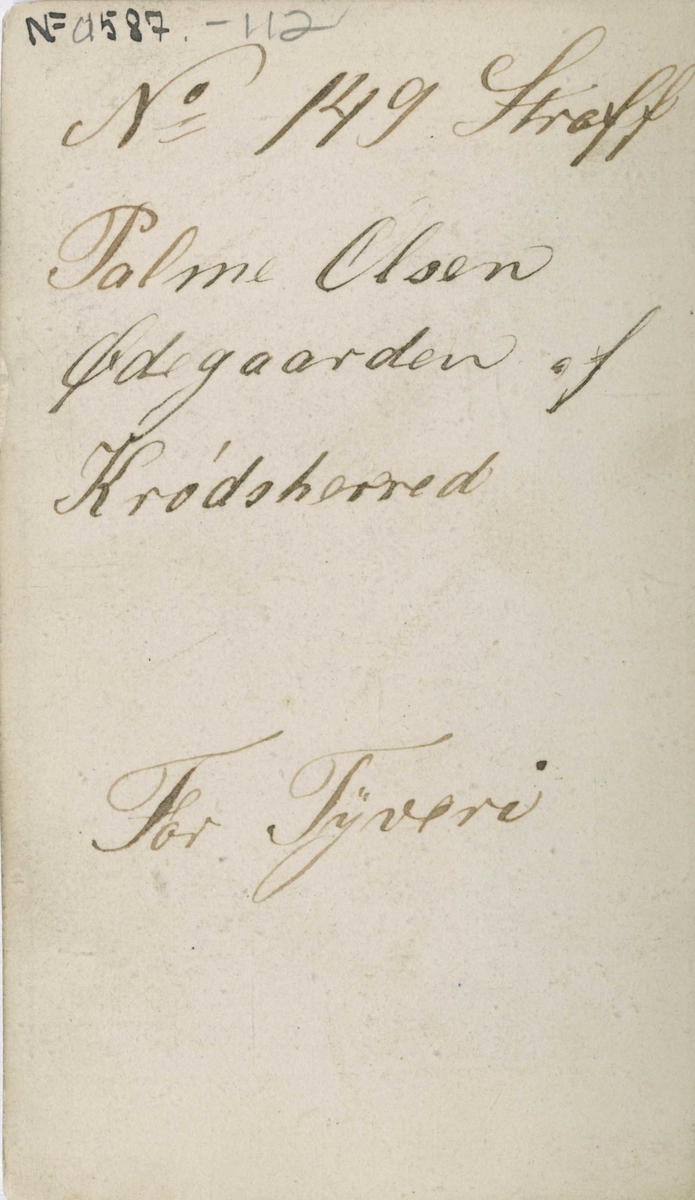 Fangeportrett. Palme Olsen Ødegaarden, Krødsherad, arrestert i 1866 eller 1867, innsatt i distriktsfengslet i Hokksund for tyveri.